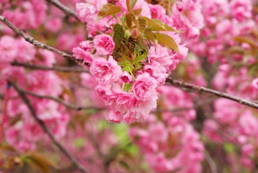 上海杨浦区线下个人借款平台一站式服务，轻松解决资金难题