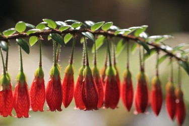 上海杨浦区零用贷短借：轻松解决临时资金需求