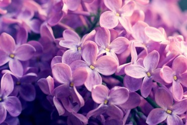 上海杨浦区企业急用钱贷款攻略：快速融资解燃眉之急